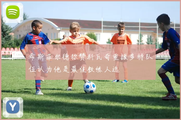 希斯菲尔德称赞科瓦奇重振多特队伍认为他是最佳教练人选