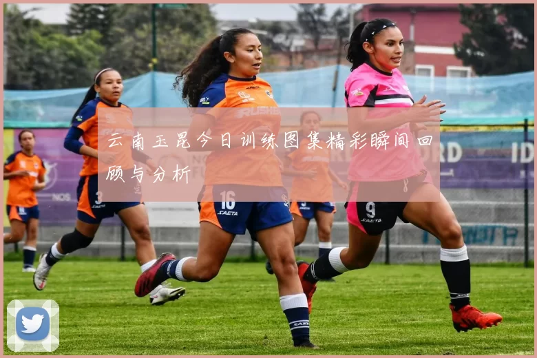 云南玉昆今日训练图集精彩瞬间回顾与分析